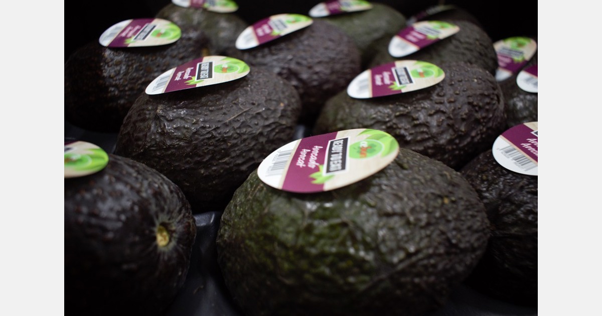 "Biggest bottleneck currently lies not in avocado sales, but in logistics"