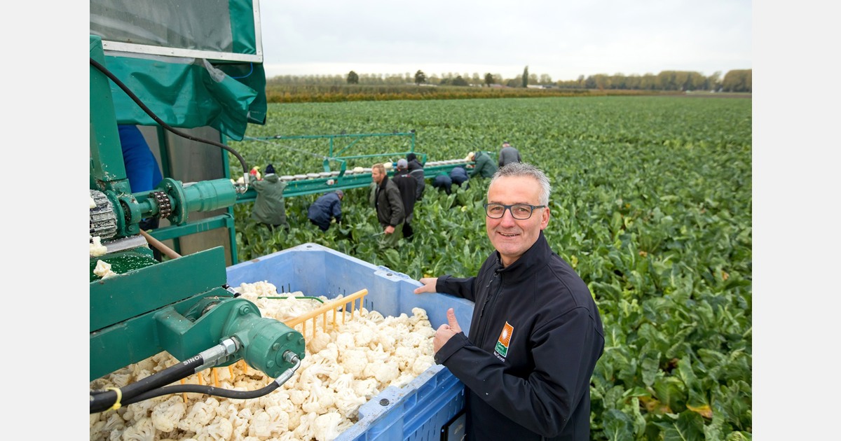 “In our view, it is essential that buyers make long-term commitments with primary producers”