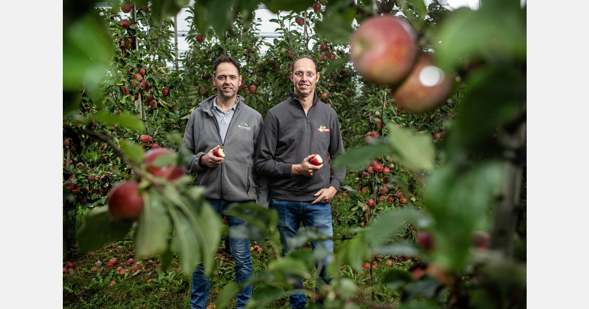 "Lower prices than in previous years, but improvement expected in the second half of the season"