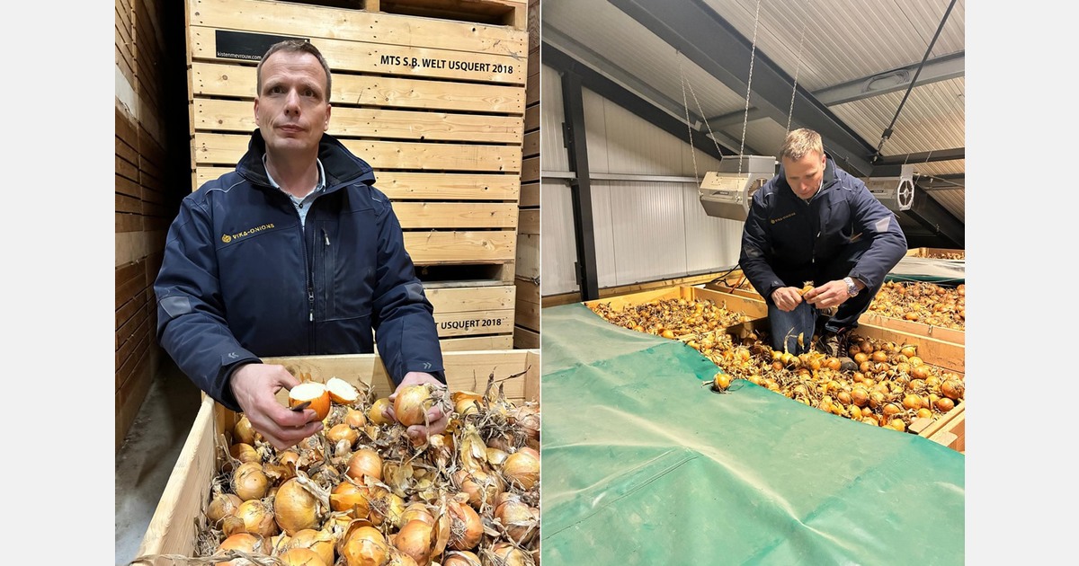 “I know what is happening both in the field and in the market”