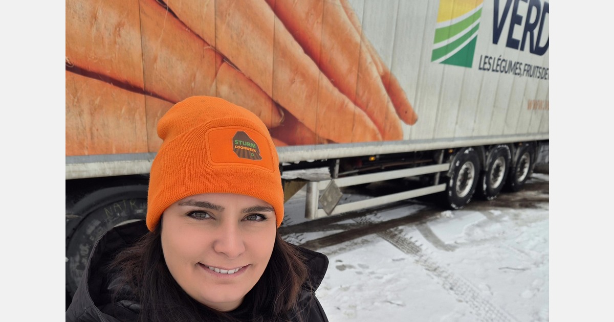 "Sharp contrast between conventional and organic carrot markets"