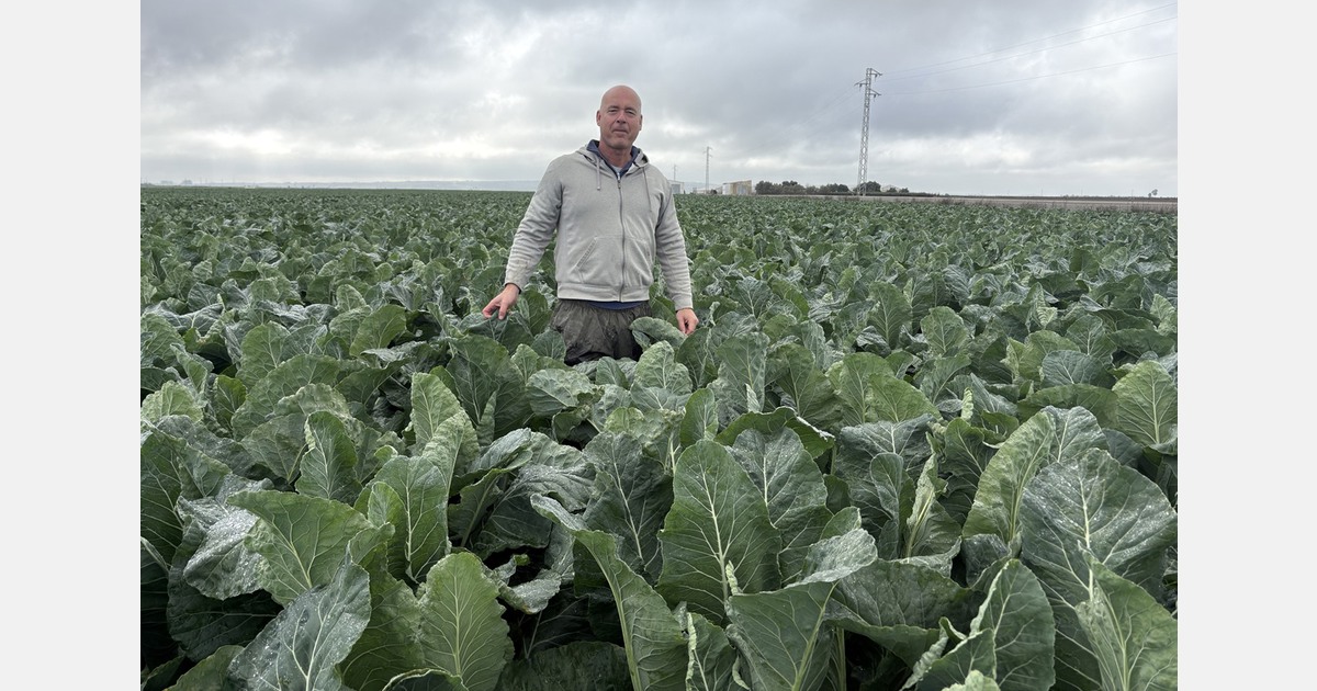 “In Cadiz, villages evacuated and fields completely flooded by heavy rain”