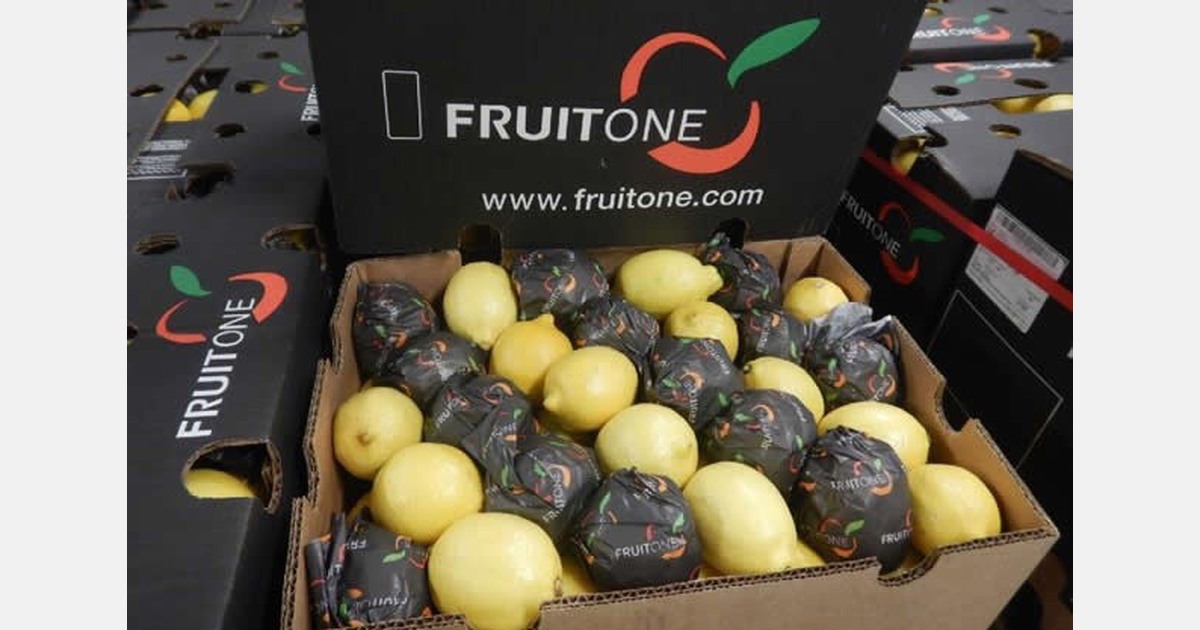 "Exciting transition expected for citrus from the Northern to the Southern Hemisphere"