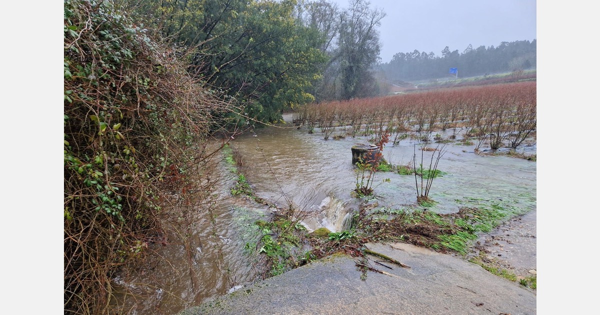 "The full extent of the damage should become clear in the coming weeks"