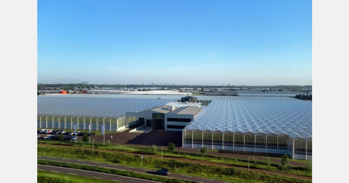 Harvest House submits ACM request to continue The Flavour Farm Sales operations