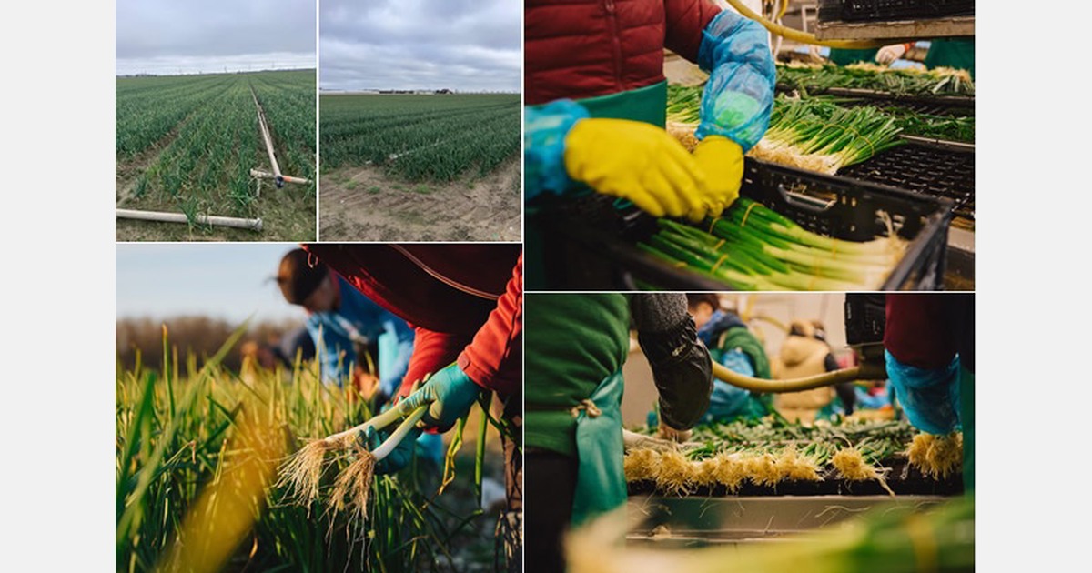 “We washed a sample for the German market this morning”