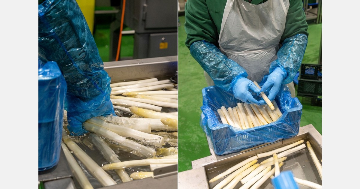 Дефицит кадров в общепите повышает спрос на подготовку овощей