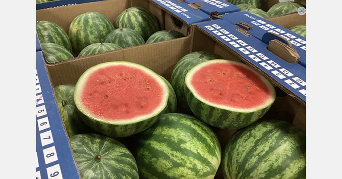 "Eid al-Fitr boosts watermelon sales"
