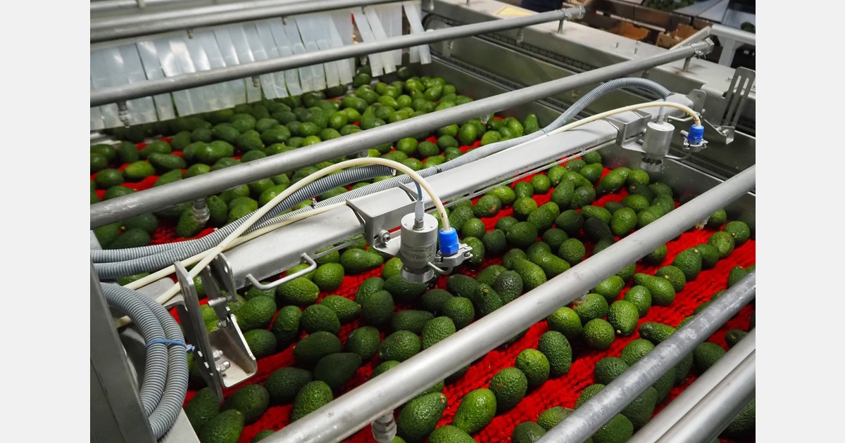 Keep fruit fresh for longer and process vegetables more efficiently