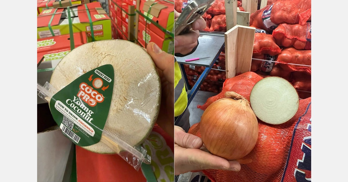 "Strong demand for Chilean onions and Vietnamese coconuts"