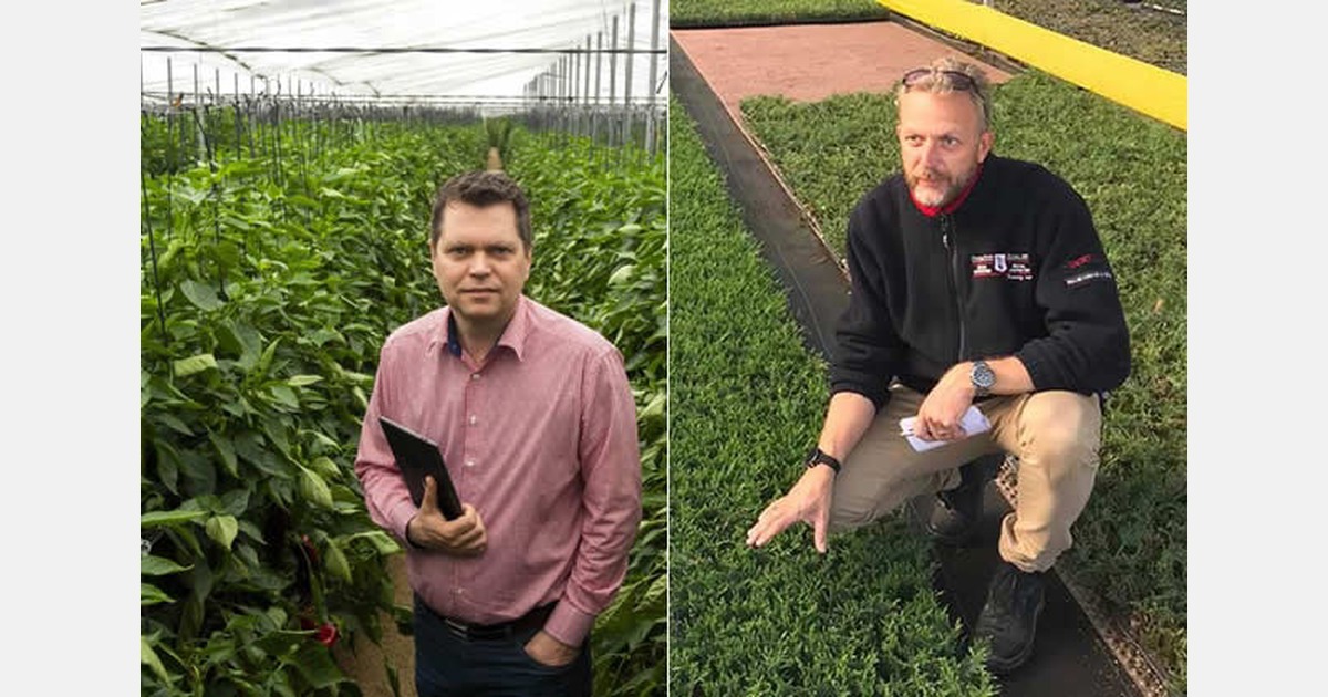 Local eyes and ears in Spain