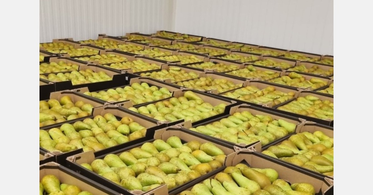 “Maintaining current price levels allows all parties to remain viable through the end of the season”