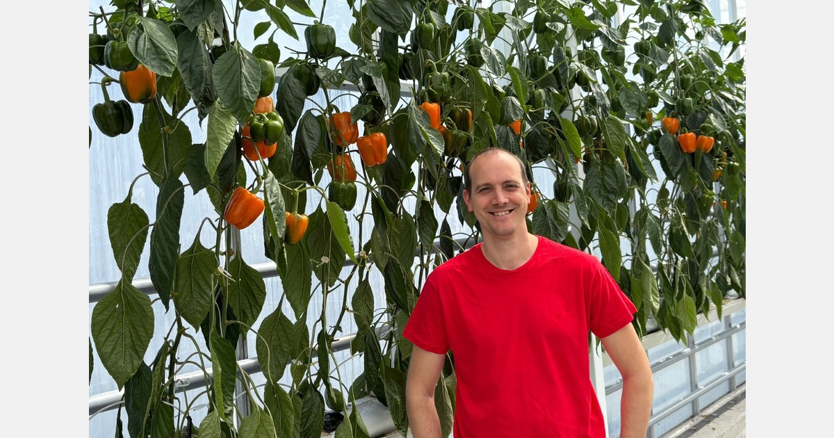 “Growing interest in Belgian peppers from France and Spain”