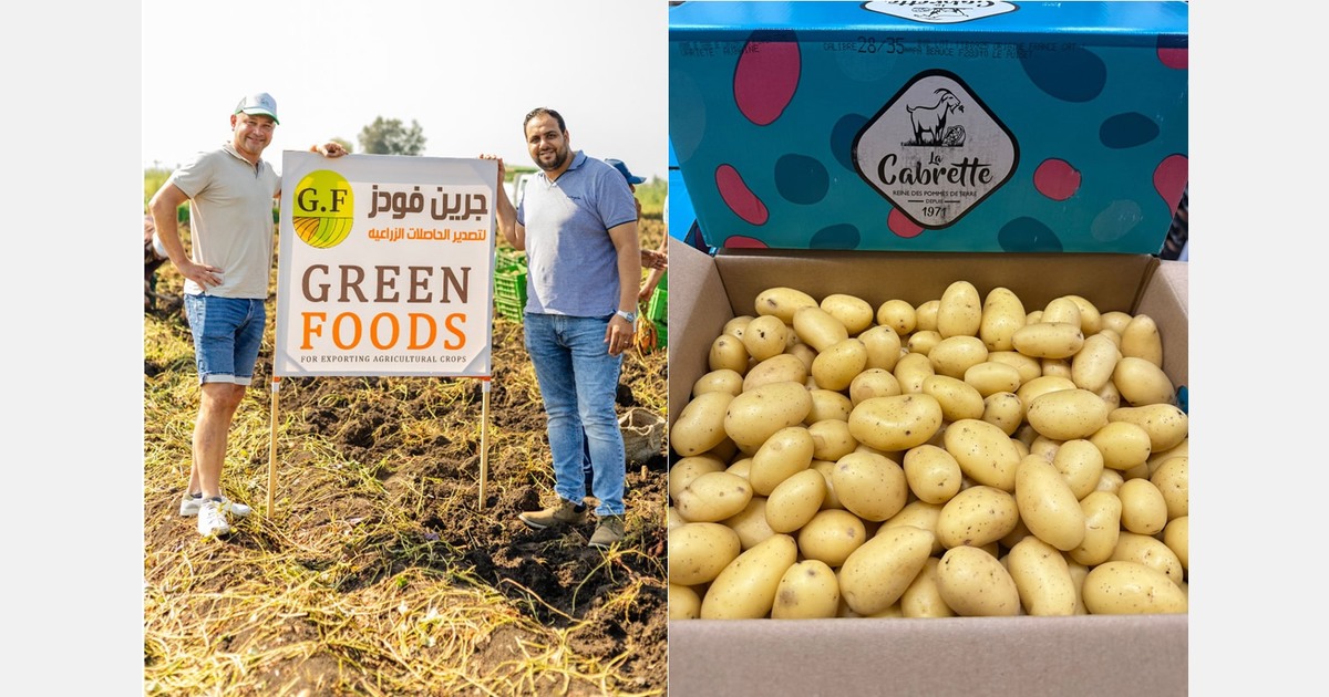 "French potato specialties remain in demand across Eastern Europe, Scandinavia, and overseas"