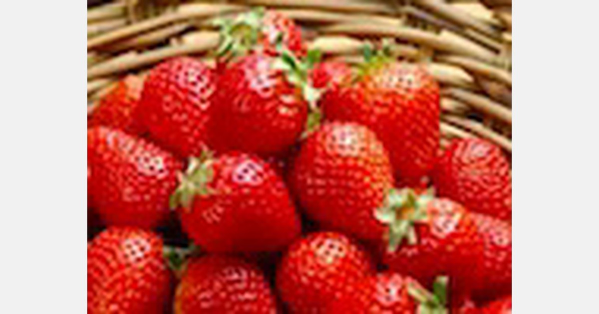 China Expensive strawberries enter market in bulk