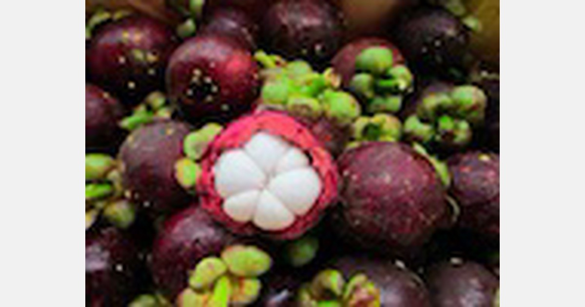 China Mangosteen enters market in bulk