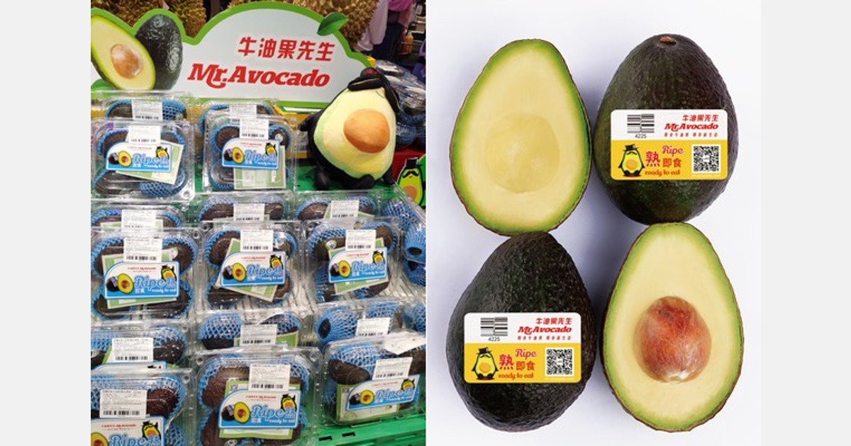 Market analysis of imported avocados in the Chinese market