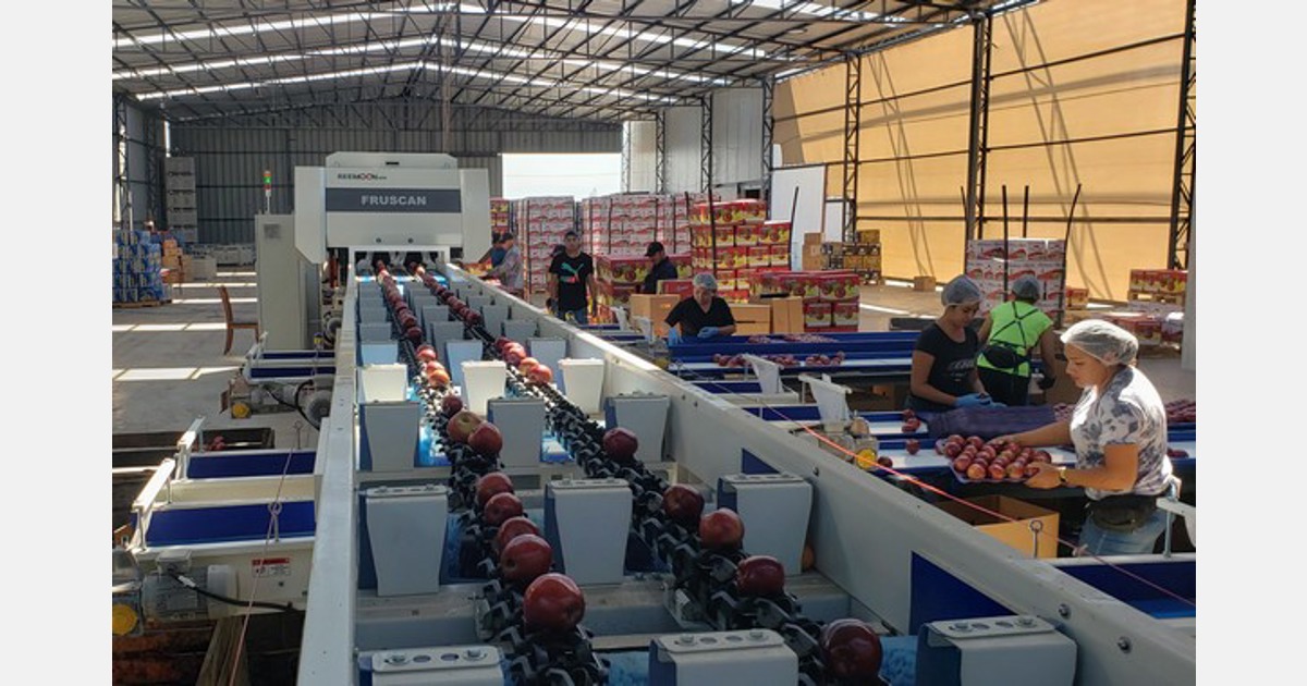 Nuestro equipo de clasificación de defectos de manzanas de última generación se ha puesto en funcionamiento en Chile.