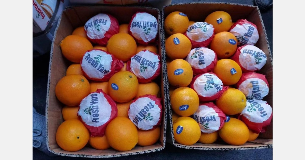 "Pricing of Egyptian oranges is currently fluctuating, while there is
