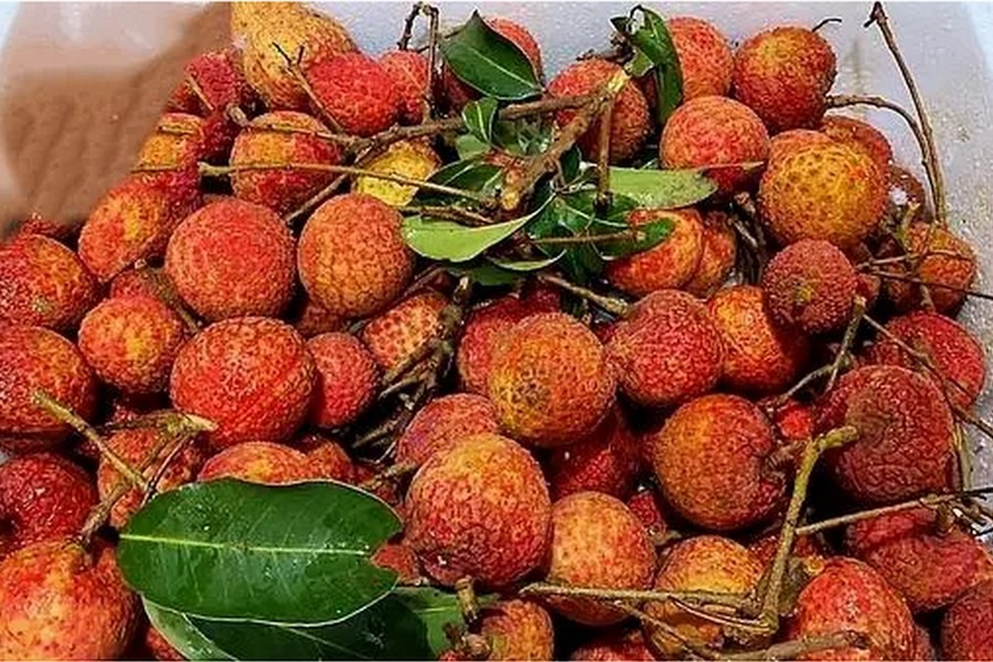 "Chlorine dioxide preservative can effectively increase the shelf life