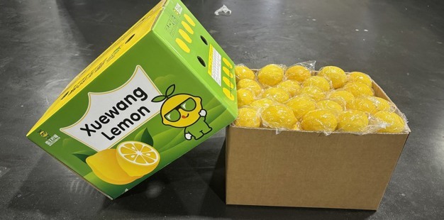 [専用出品]lemon The price of raw materials of Chinese lemons has increased by 80