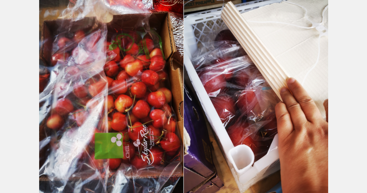 Cherry price drop boosts sales while Chilean nectarines hit the market