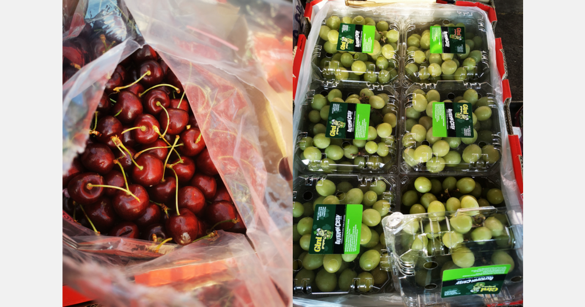 Cherry prices under pressure, while green grape prices higher than last year