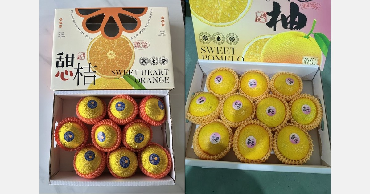 Peak season for Red Beauty mandarin slowing down, Yellow Beauty filling the gap