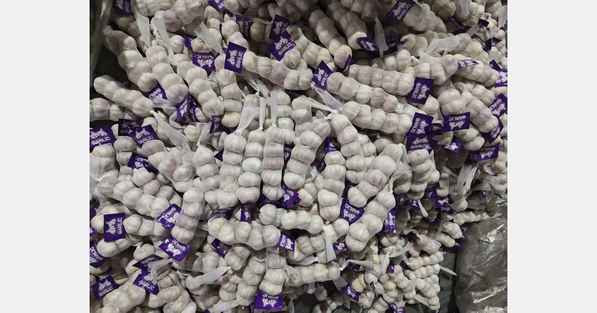 China's garlic exports rebounded, with strong market demand and slightly lower prices