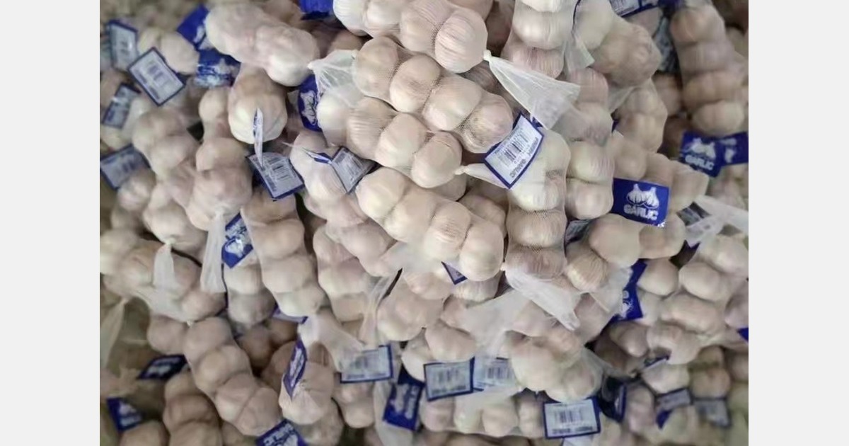 China's garlic export market experiences increased volatility