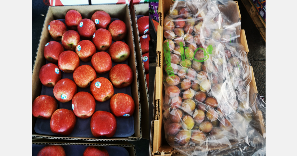 Post-holiday demand declines, while Chilean plum prices remain low