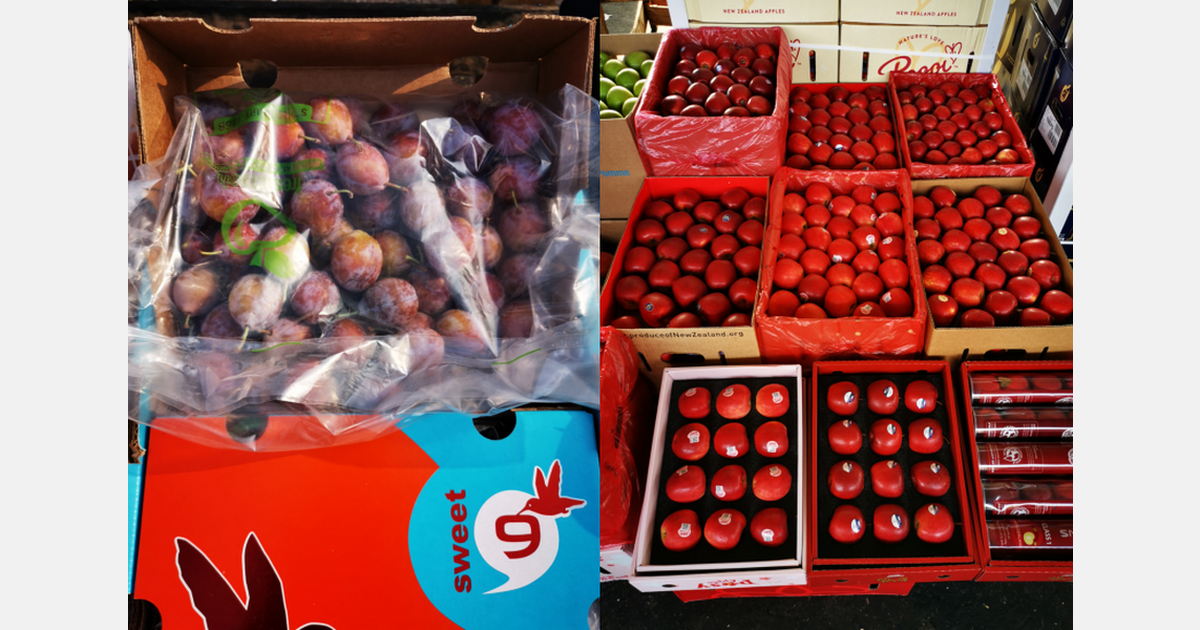 Chilean plum prices rebound, while New Zealand apple prices decline