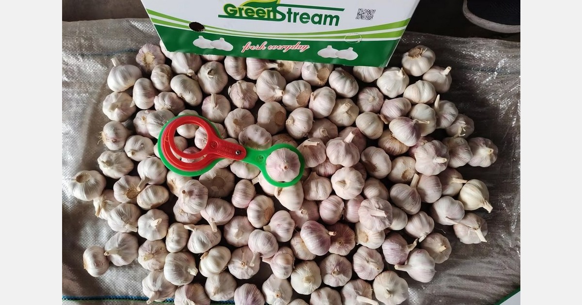 China's garlic market faces oversupply and declining prices