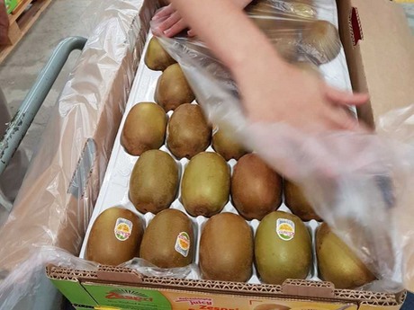 NZKGI 1 NZ kiwifruit