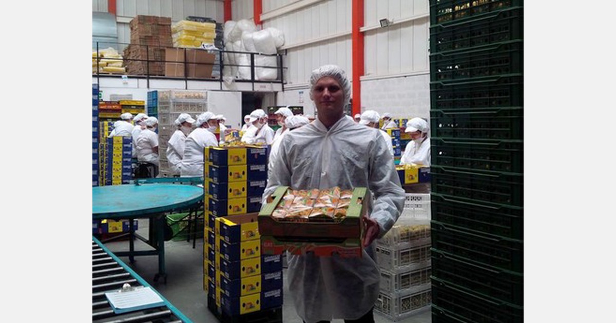 European gooseberry market much more established than the US