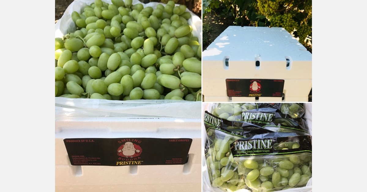 Pristine grape grower developed premium label with fruit exporting company