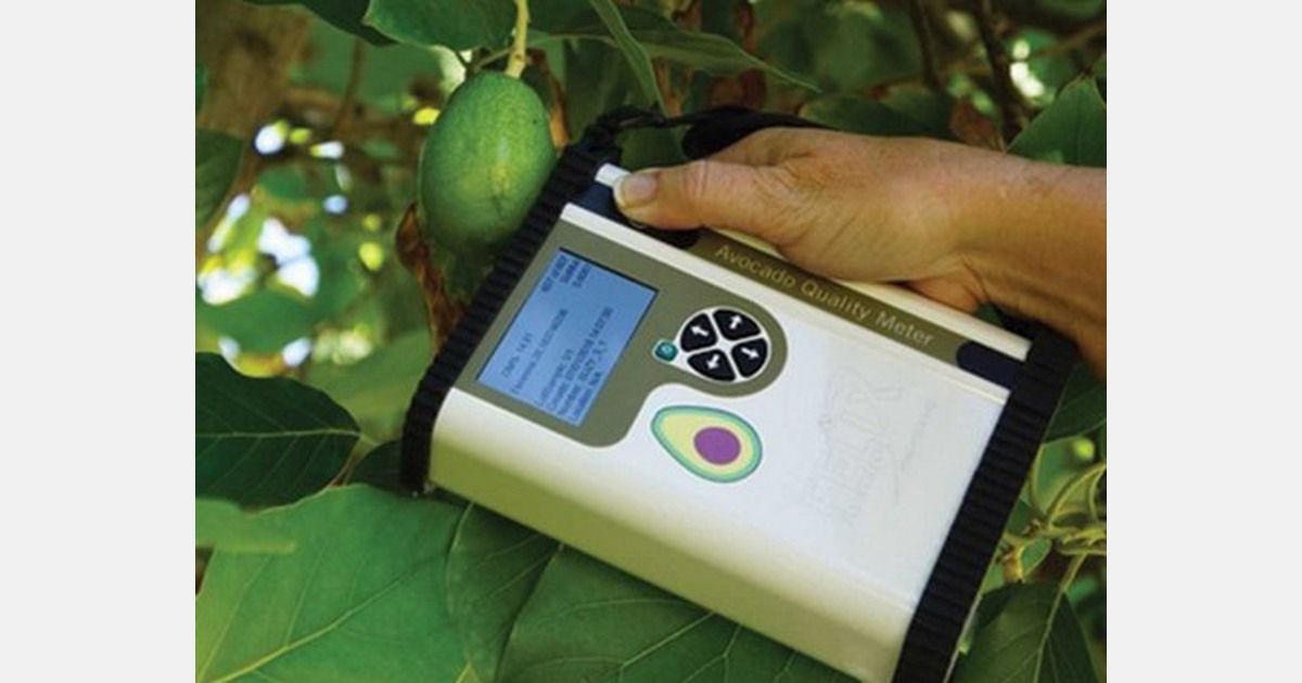 New avocado quality meter available early December