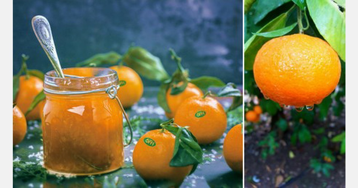 EasyPeeler Orri Jaffa expected to see 70 sales growth in North