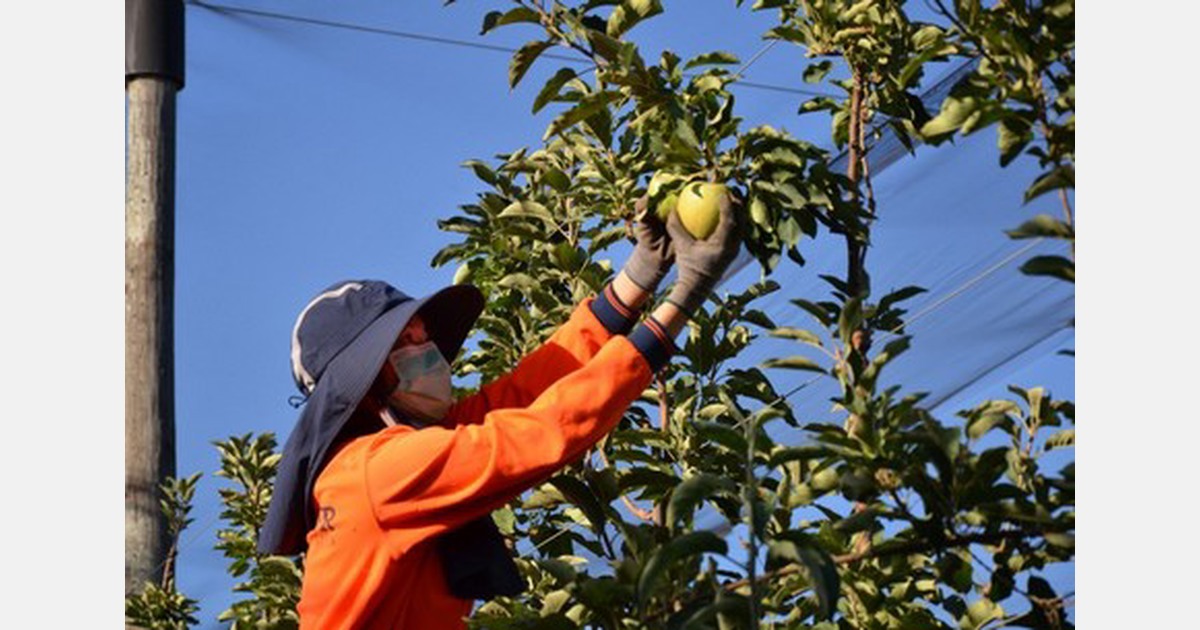 AU: Expanded labour options, but some new laws too