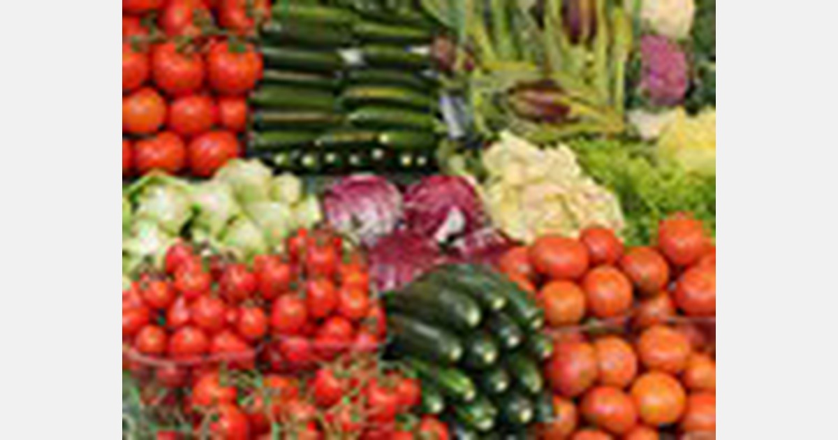 Only 5 of Dutch fruit and vegetable exports go outside the EU