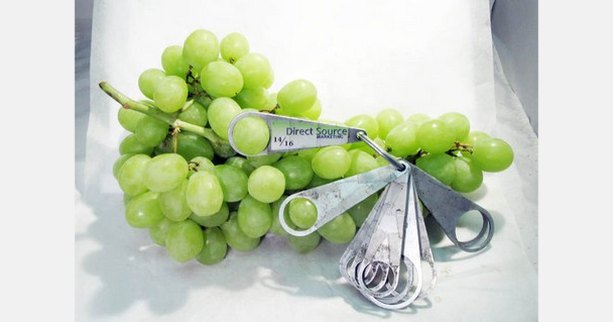 Tight table grape market looming for the US