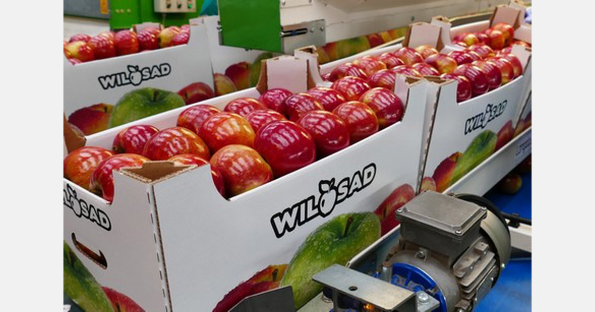 “Poland should work more on the quality of the fruits we produce”