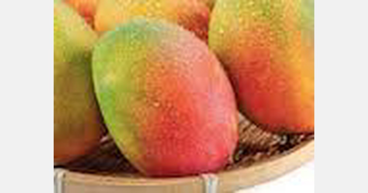 Turkey Alanya to grow more mangoes