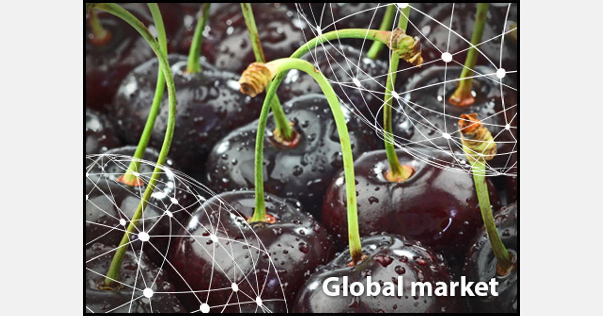 OVERVIEW GLOBAL CHERRY MARKET