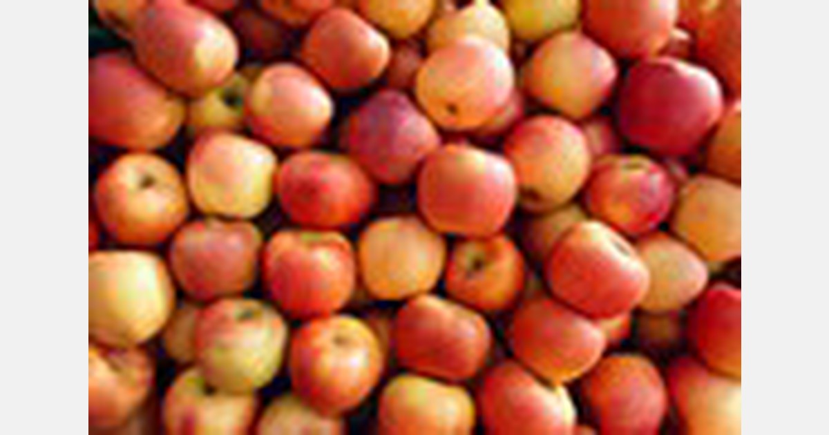 USDA amends U.S. standards for grades of apples