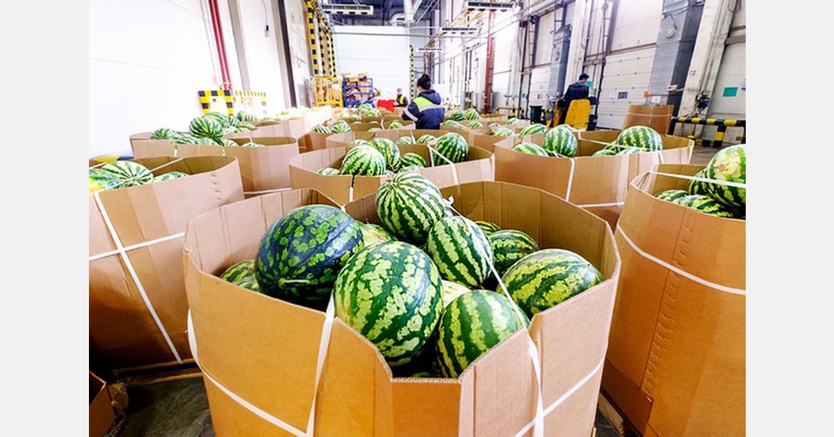 Ghana to begin construction of US 6m watermelon factory