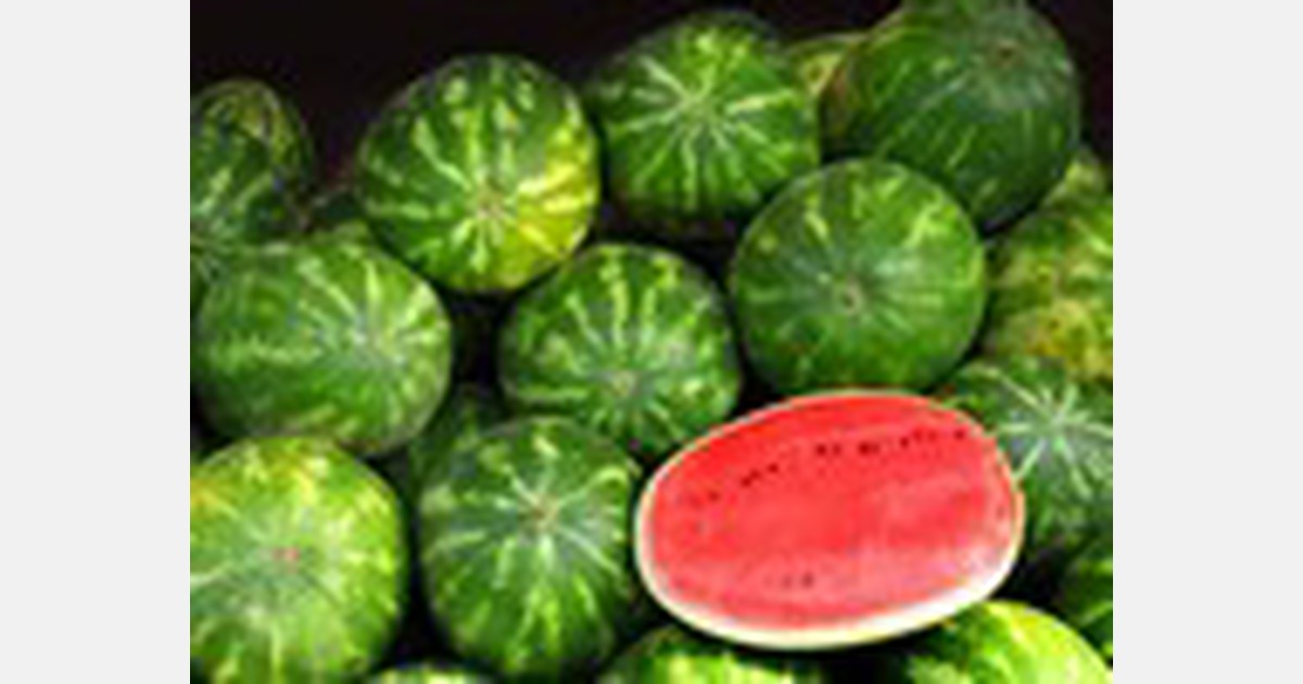Pricing to ease up on Mexican watermelons