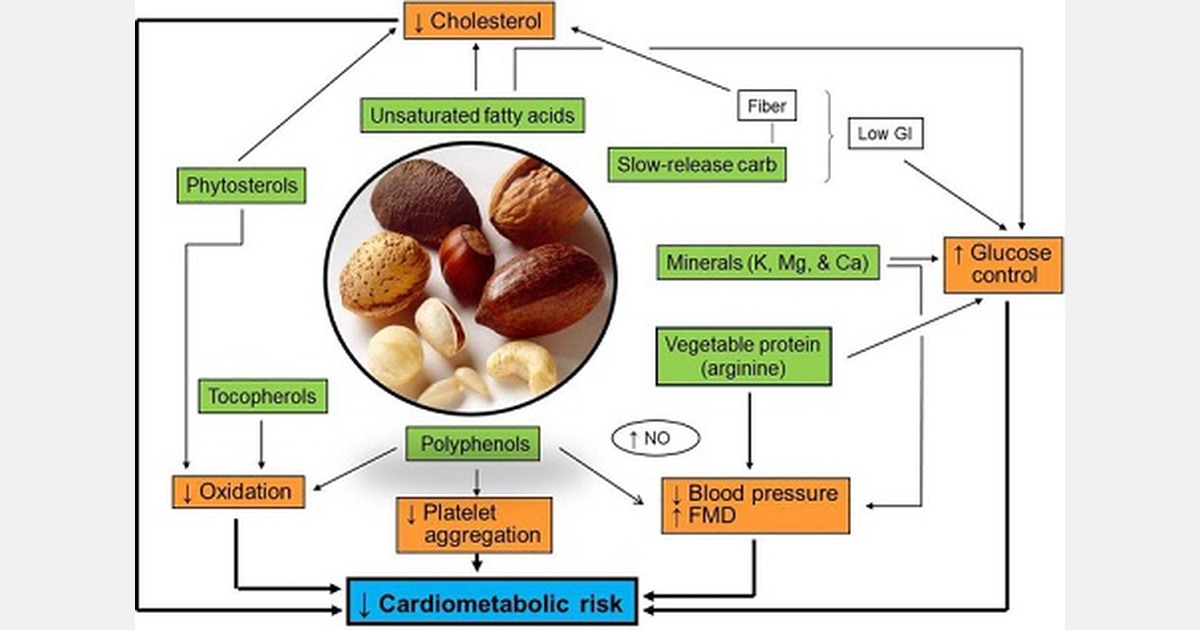Recent findings on health benefits of nuts and dried fruits