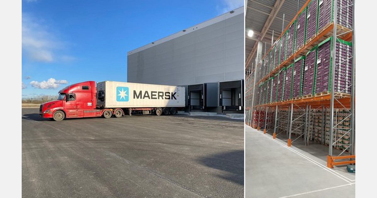 Maersk launches its cold store in St. Petersburg, Russia