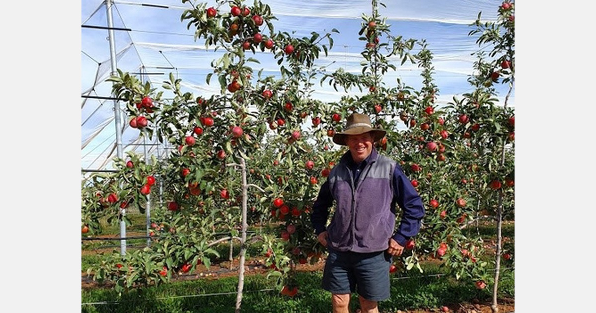 Australian Kanzi® apples set to continue growth despite challenges this